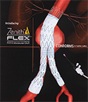 endovascular Stent Grafting